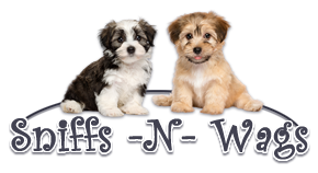 Sniff-N-Wags